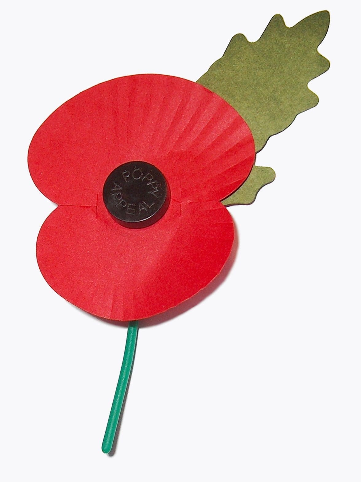 poppy day from training 4 Logistics